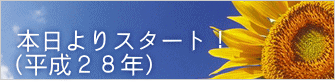 本日よりスタート! (平成28年)
